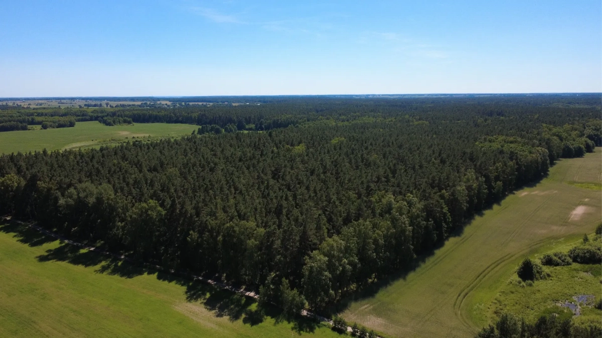 Działka